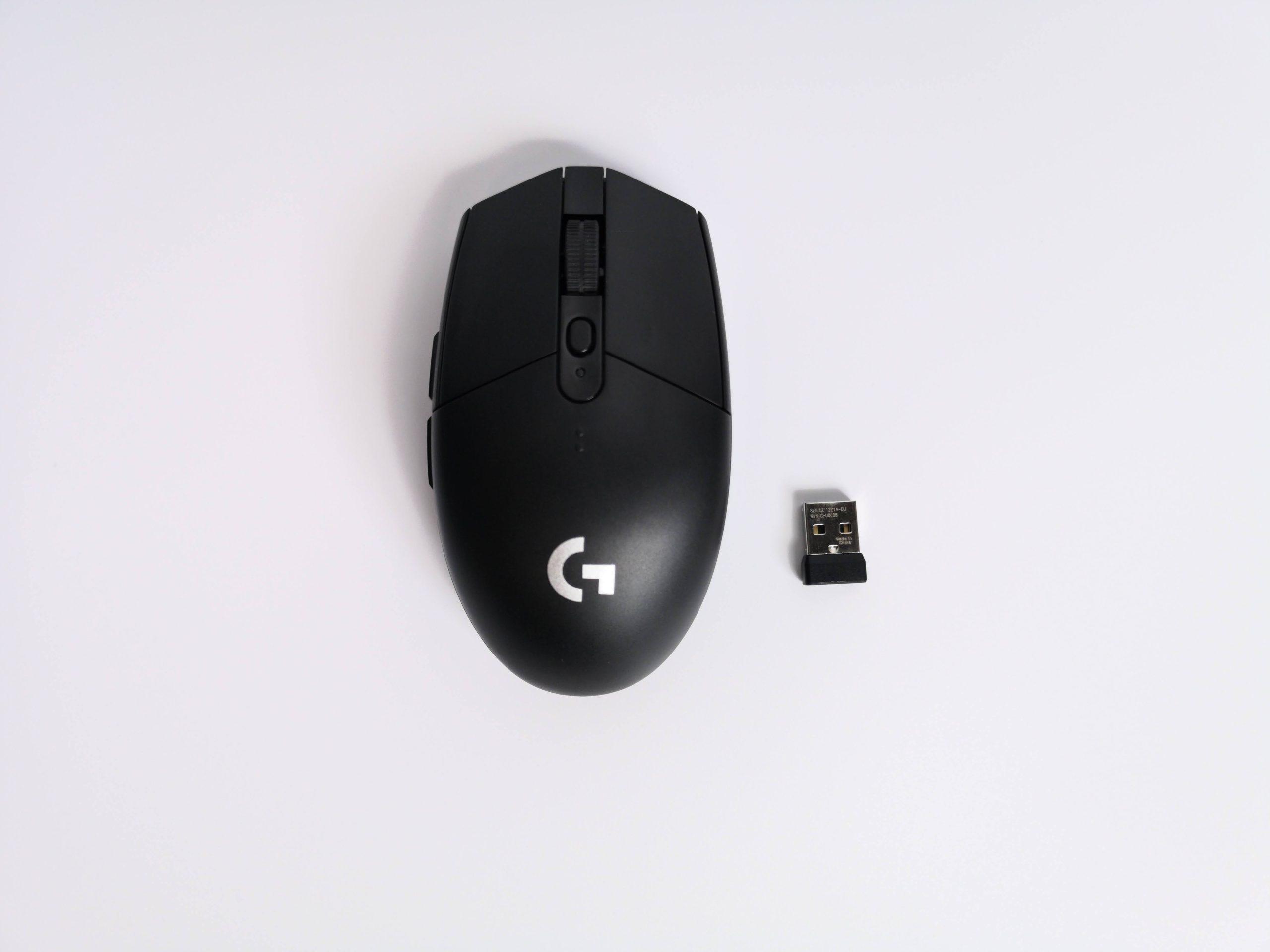 G304　マウス